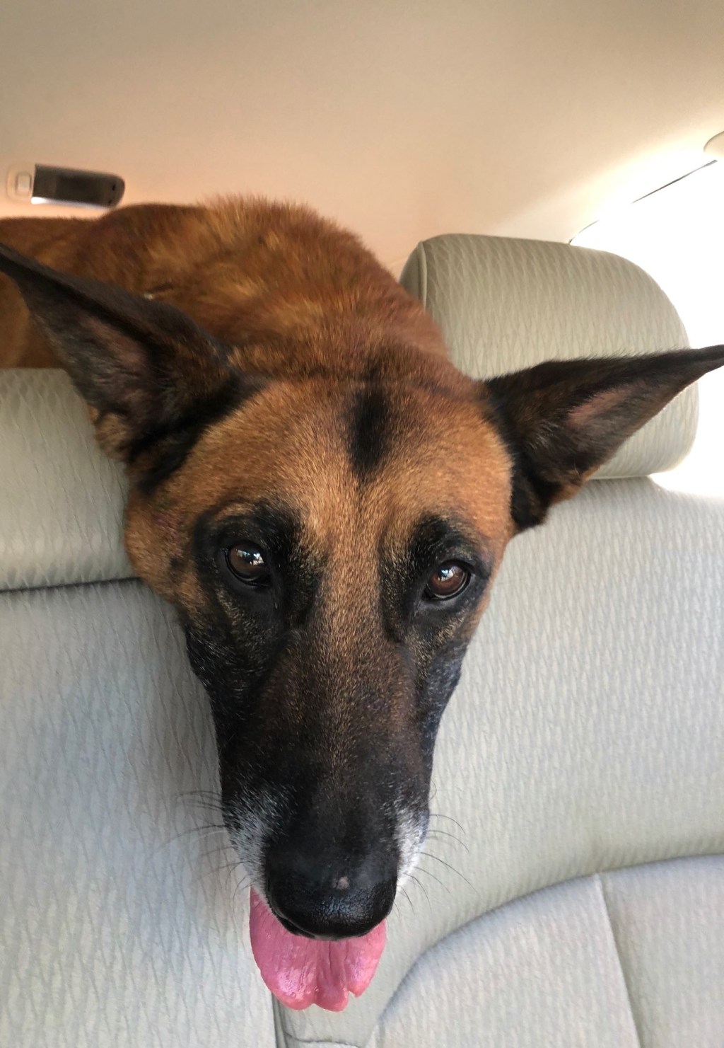 A Postcard – A to Z Blogging Challenge (Day –&nbsp;4D)