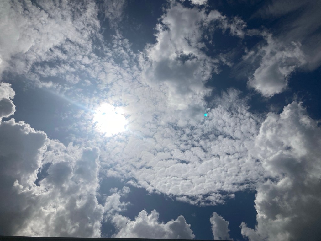 A Postcard – The Poolside Chronicles&nbsp;-6/10/2025-