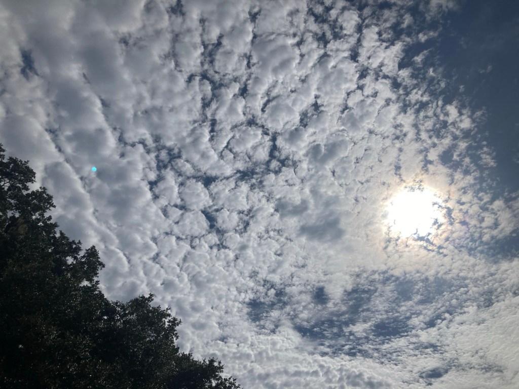 A Postcard – The Poolside Chronicles&nbsp;-7/10/2025-