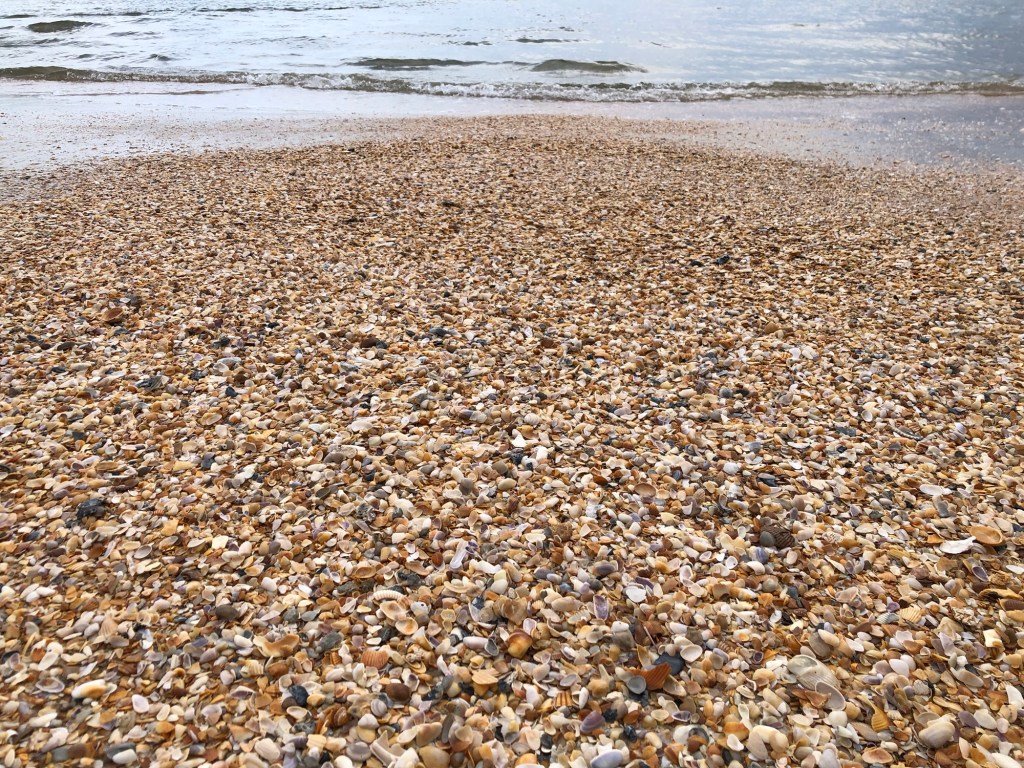 Photo Journal – St.Augustine, Fl&nbsp;-7/22/2025-