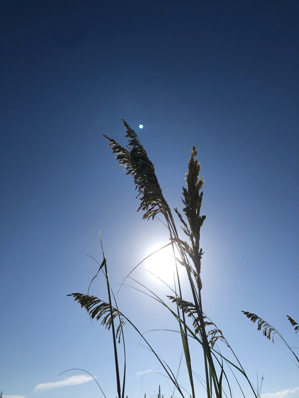 Photo Journal – St. Augustine, Fl&nbsp;-7/24/2025-