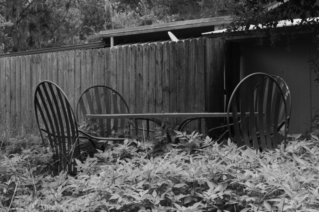 Photo Journal – Country&nbsp;Livin’