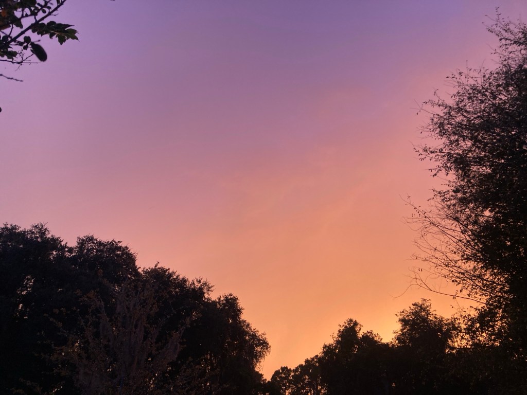 A Postcard –&nbsp;Weather