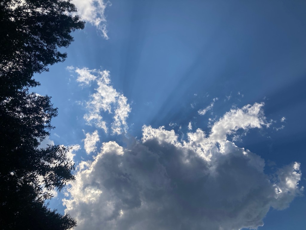 A Postcard – The Poolside Chronicles&nbsp;-9/20/2025-