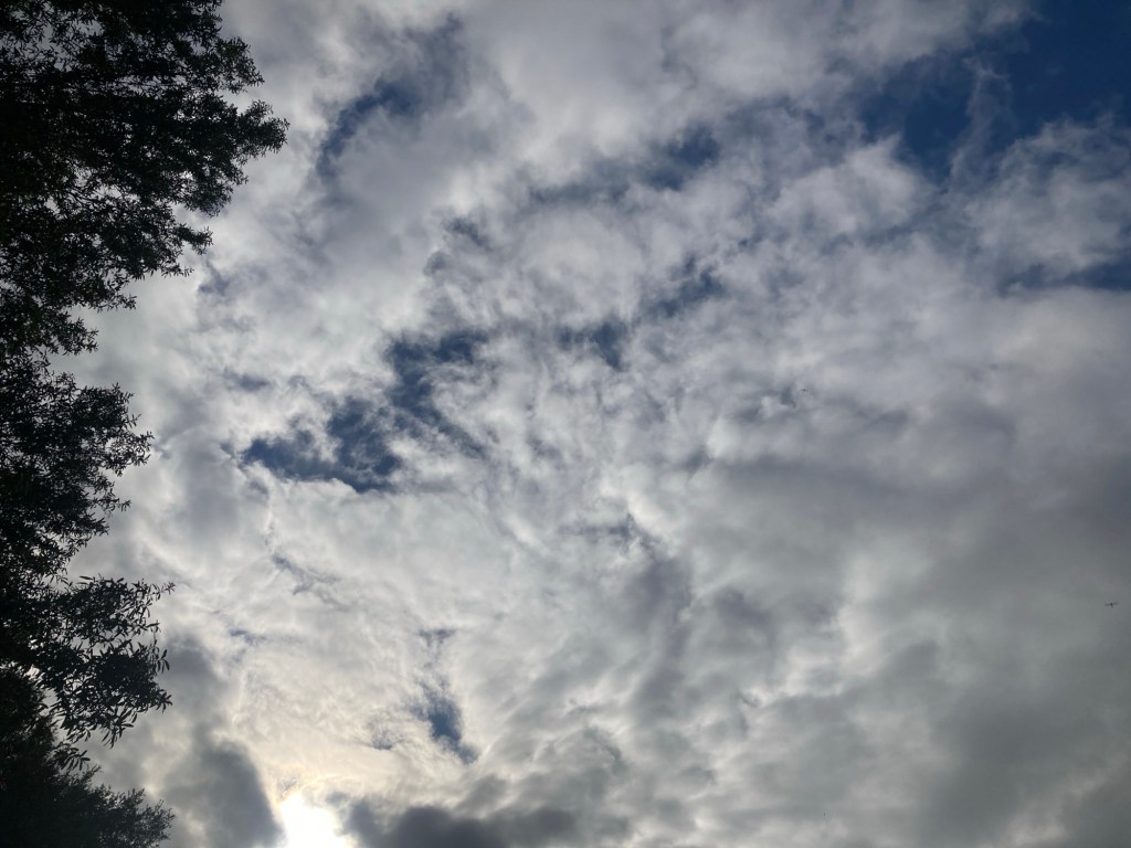 A Postcard – The Poolside Chronicles&nbsp;-9/30/2025-