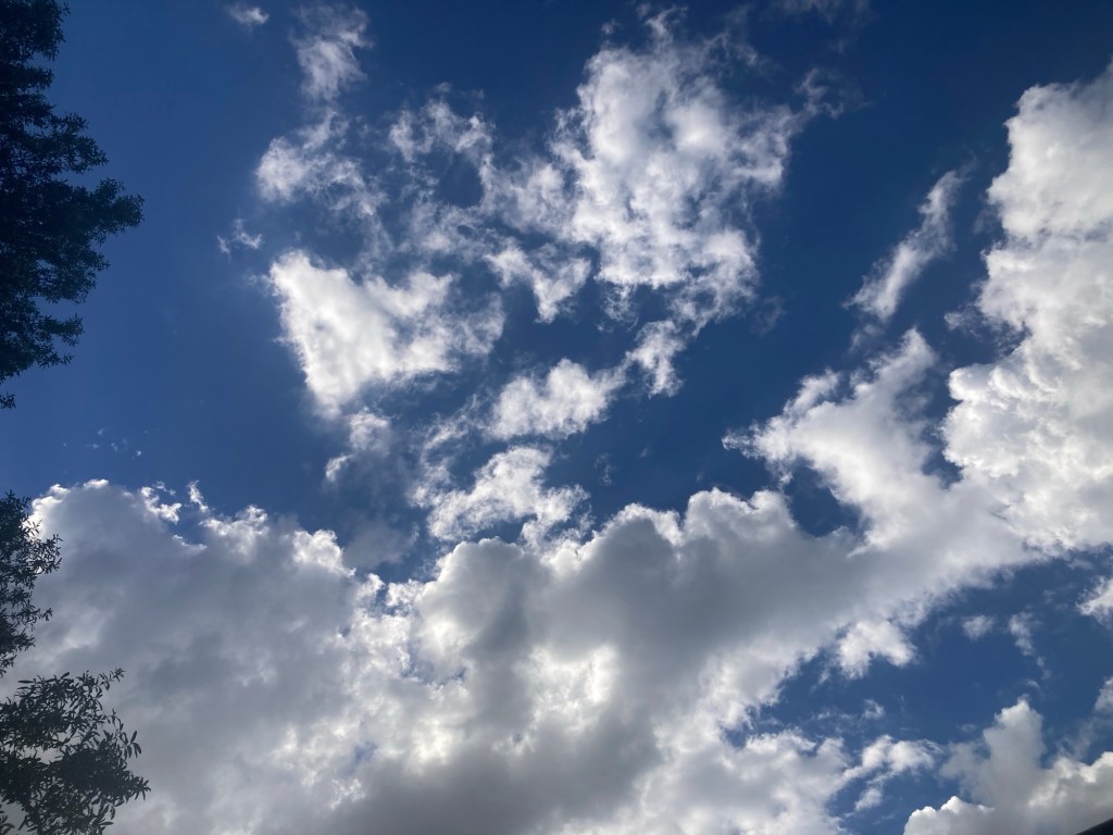 A Postcard – The Poolside Chronicles&nbsp;-10/16/25-