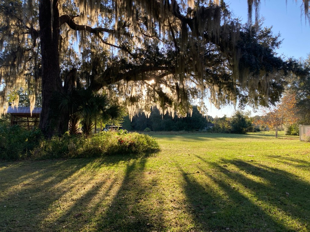 A Postcard – 30 Days of Thankfulness (Day –&nbsp;1)