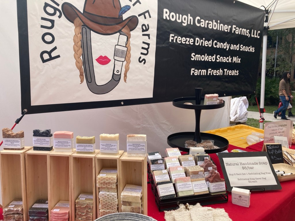 Photo Journal – Micanopy Fall Festival -11/1/25_11/2/25-