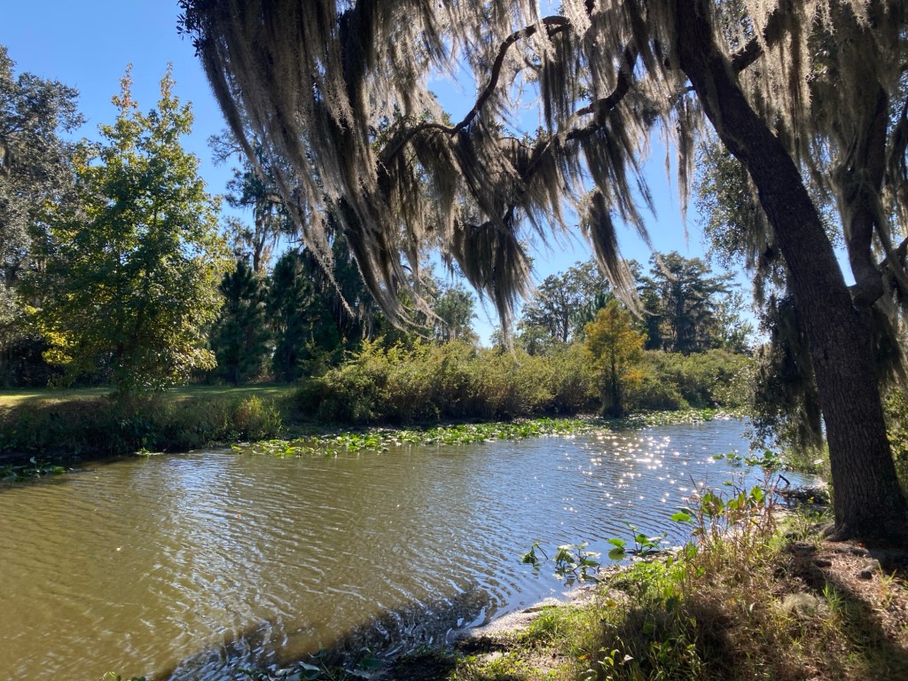 A Postcard – 30 Days of Thankfulness (Day –&nbsp;3)