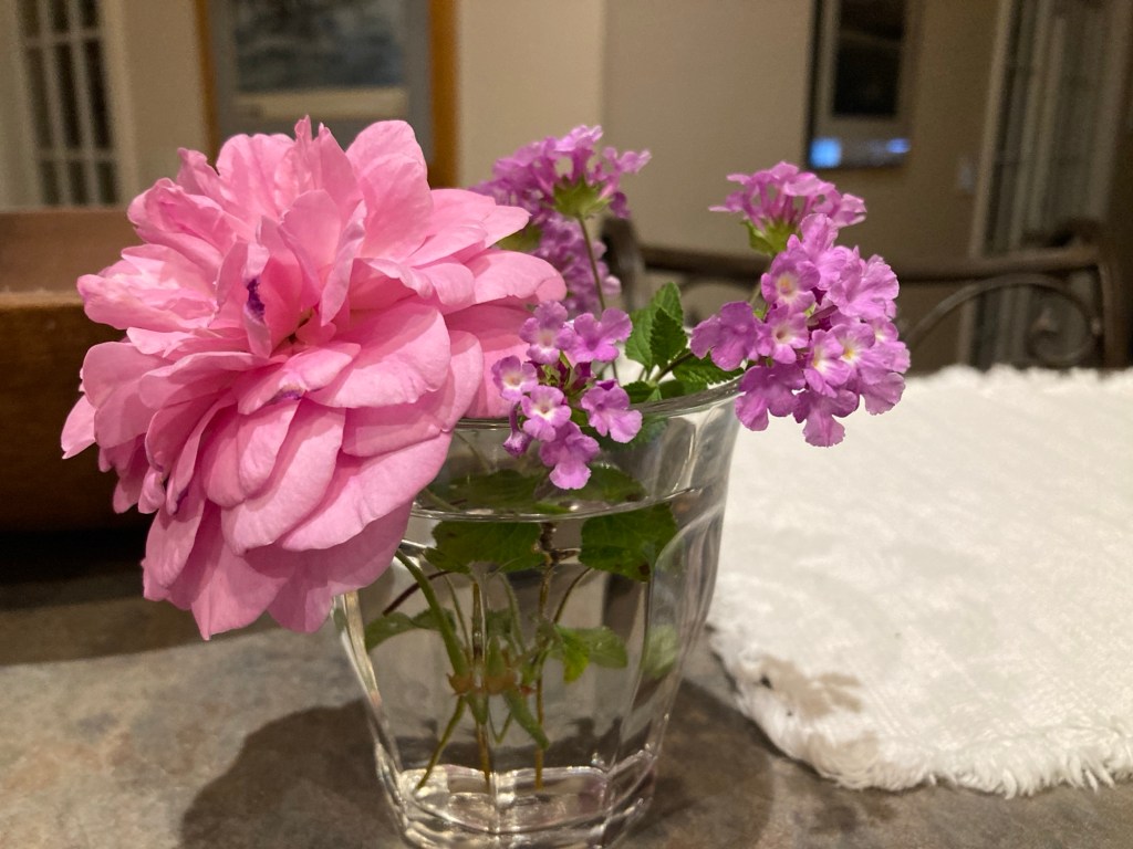 A Postcard – 30 Days of Thankfulness (Day –&nbsp;5)