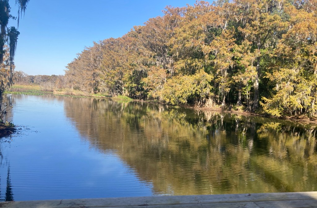 A Postcard – 30 Days of Thankfulness (Day –&nbsp;13)